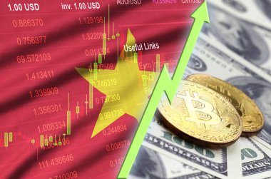 Vietnam bayrağı ve eğilim ile iki bitcoins dolar faturaları üzerinde büyüyen cryptocurrency