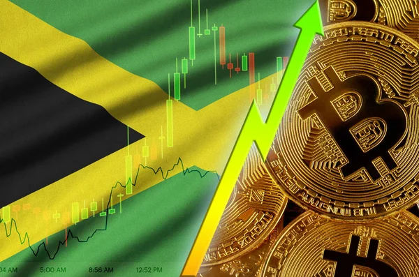 Jamaika bayrağını ve eğilim birçok altın bitcoins ile büyüyen cryptocurrency