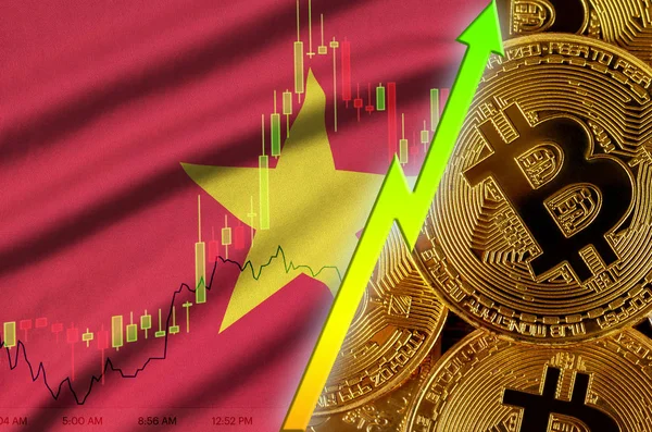 Vietnam flag and cryptocurrency growing trend with many golden bitcoins