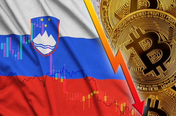 Slovenia flag and cryptocurrency falling trend with many golden bitcoins