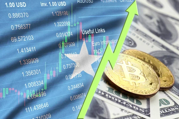 Somalia flag and cryptocurrency growing trend with two bitcoins on dollar bills — Stock Photo, Image