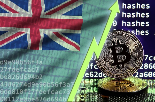 Tuvalu bayrağı ve bitcoin araştırma ekran ve iki fiziksel altın bitcoins yükselen Yeşil ok