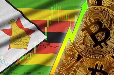 Zimbabve bayrağı ve eğilim birçok altın bitcoins ile büyüyen cryptocurrency