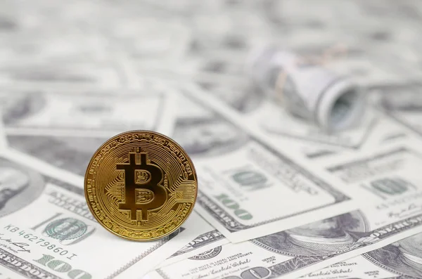 Bitcoin Érmék Bankjegyek 100 Dollár Koncepció Ésszerű Megfelelő Befektetési Pénz — Stock Fotó
