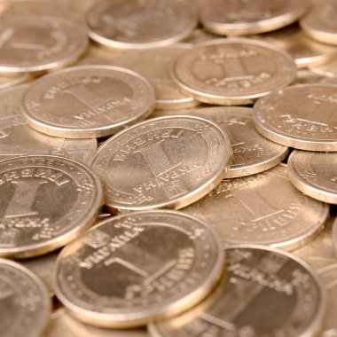 Zengin yaşam kavramları için finansal başarı Ukraynalı para arka plan