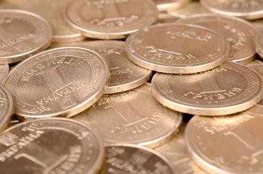 Zengin yaşam kavramları için finansal başarı Ukraynalı para arka plan