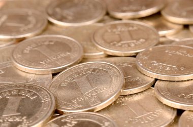 Zengin yaşam kavramları için finansal başarı Ukraynalı para arka plan