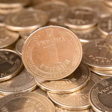 Zengin yaşam kavramları için finansal başarı Ukraynalı para arka plan