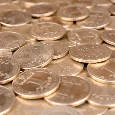 Zengin yaşam kavramları için finansal başarı Ukraynalı para arka plan