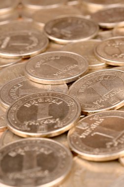 Zengin yaşam kavramları için finansal başarı Ukraynalı para arka plan