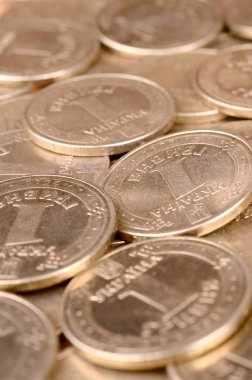 Zengin yaşam kavramları için finansal başarı Ukraynalı para arka plan