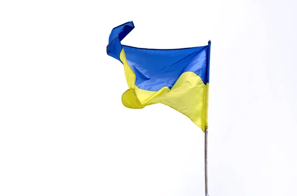 Прапор України розвіваються в вітрі, ізольованому на білому фоні — стокове фото