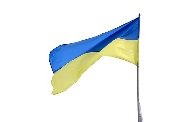 Ukrainische Flagge weht vereinzelt im Wind auf weißem Hintergrund — Stockfoto