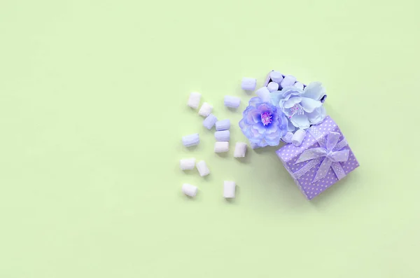 Caja de regalo florecida violeta espolvoreada con malvaviscos sobre fondo de lima — Foto de Stock