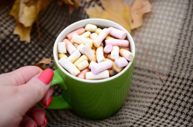 Sonbahar yaprakları ve sıcak buğulama fincan kahve damalı ekose açık yatıyor