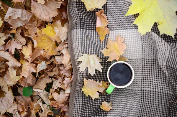 Podzimní listí a horký kouřící šálek kávy leží na otevřeném prostranství v exteriéru — Stock fotografie