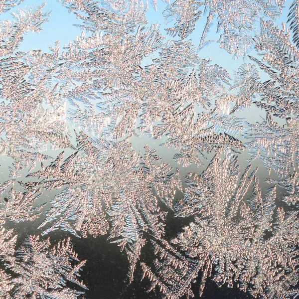 Schneeflocken Frostrime Makro auf Fensterscheibe — Stockfoto