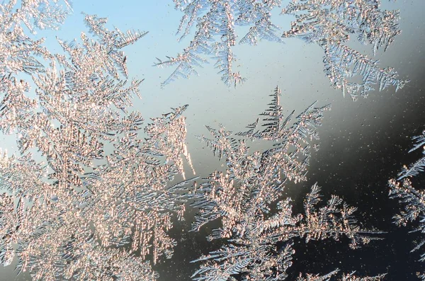 Fiocchi di neve gelo rime macro sul vetro della finestra — Foto Stock