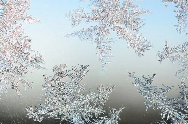 Sneeuwvlokken Frost Rime macro op venster glas ruit — Stockfoto