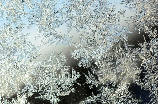 Copos de nieve escarcha rime macro en el cristal de la ventana —  Fotos de Stock