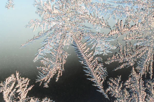 Snowflakes frost rime macro on window glass pane — Stock Photo, Image