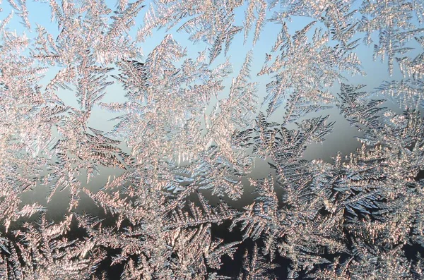 窓ガラスペインに雪片フロストライムマクロ — ストック写真