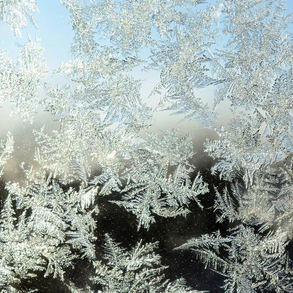 Schneeflocken Frostrime Makro auf Fensterscheibe — Stockfoto