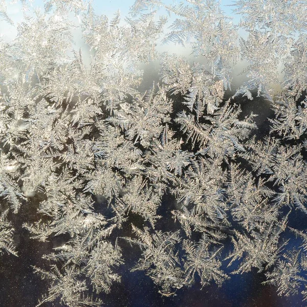 Pencere cam bölmesi üzerinde Kar taneleri don rime makro