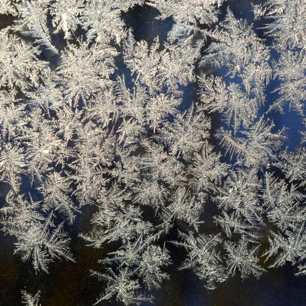 Schneeflocken Frostrime Makro auf Fensterscheibe — Stockfoto