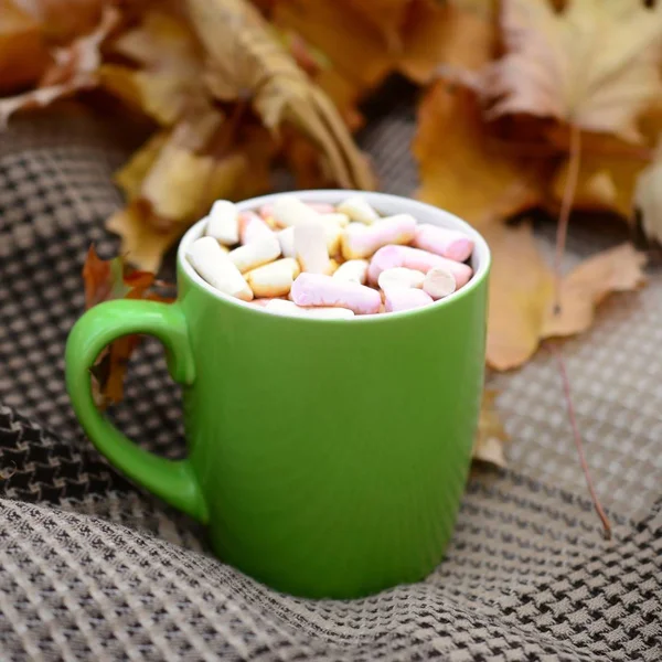 Autumn leaves and hot steaming cup of coffee lies on checkered plaid outdoors — Stock Photo, Image