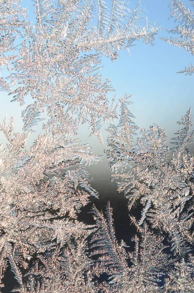 Flocos de neve geada rime macro no painel de vidro da janela — Fotografia de Stock