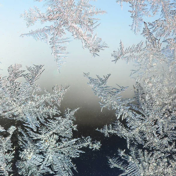 Sneeuwvlokken Frost Rime macro op venster glas ruit — Stockfoto