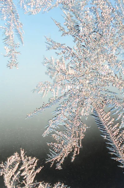 Snowflakes frost rime macro on window glass pane — Stock Photo, Image