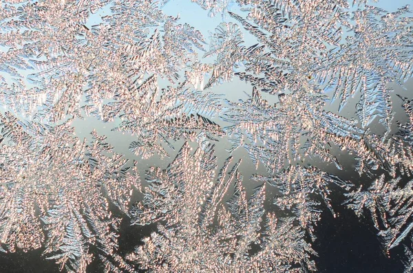 Snöflingor Frost Rime Macro på fönster glasruta — Stockfoto