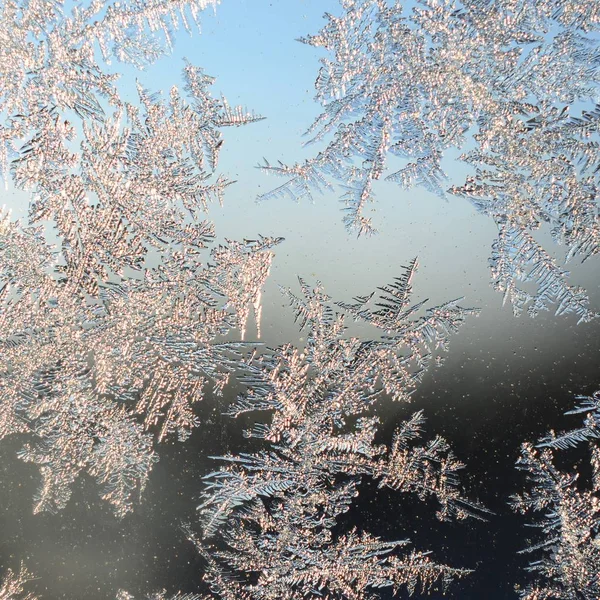 Schneeflocken Frostrime Makro auf Fensterscheibe — Stockfoto