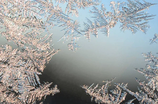 Schneeflocken Frostrime Makro auf Fensterscheibe — Stockfoto