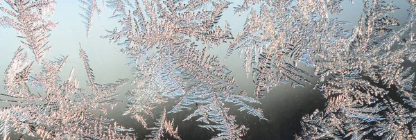 Snöflingor Frost Rime Macro på fönster glasruta — Stockfoto