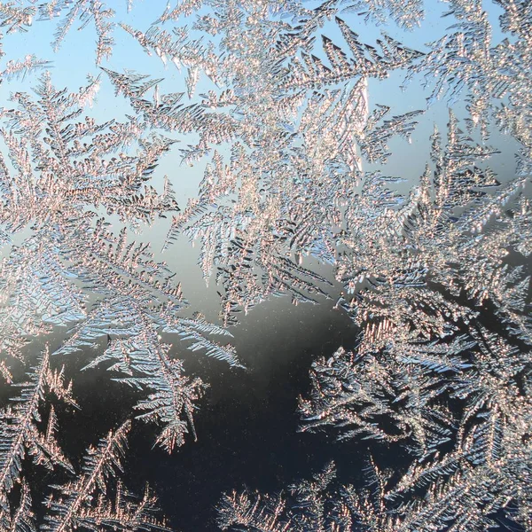 Snowflakes frost rime macro on window glass pane — Stock Photo, Image