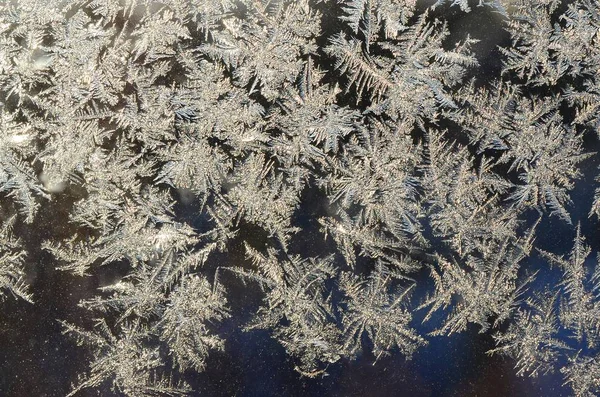 Schneeflocken Frostrime Makro auf Fensterscheibe — Stockfoto