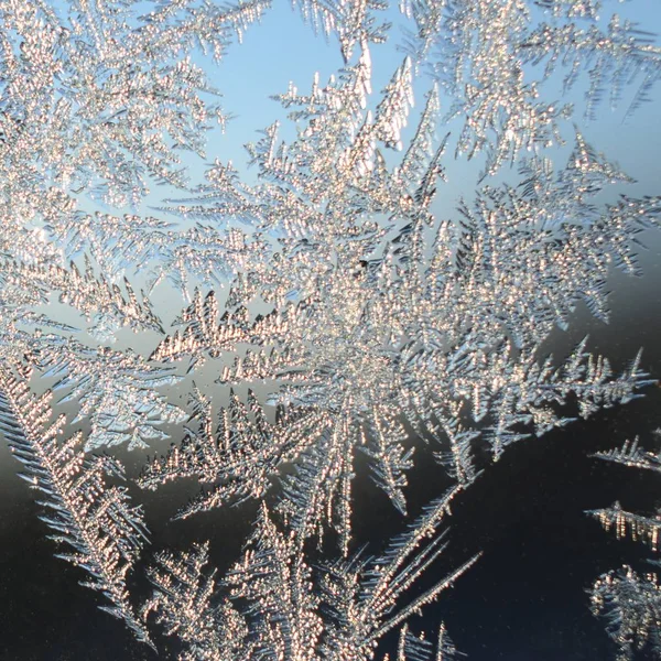 Sneeuwvlokken Frost Rime macro op venster glas ruit — Stockfoto