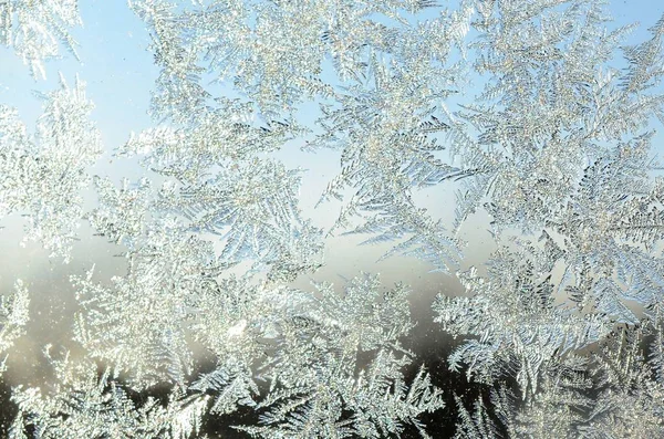 窗玻璃窗格上的雪花霜状宏 — 图库照片