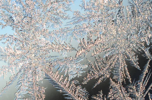 Snöflingor Frost Rime Macro på fönster glasruta — Stockfoto