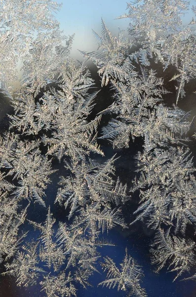 Copos de nieve escarcha rime macro en el cristal de la ventana — Foto de Stock