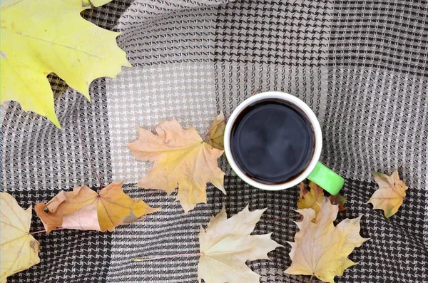 Herbstlaub und heiße dampfende Tasse Kaffee liegen auf kariertem Plaid im Freien — Stockfoto