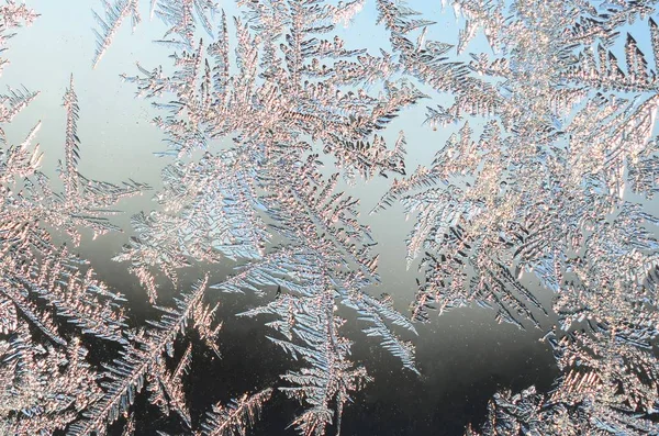 Schneeflocken Frostrime Makro auf Fensterscheibe — Stockfoto