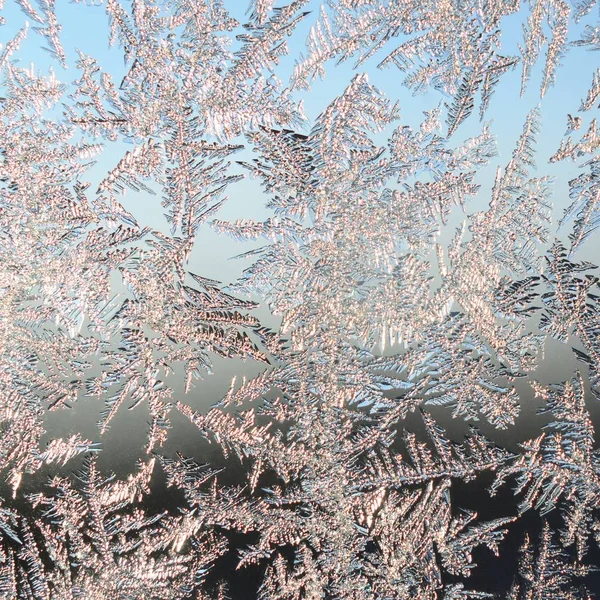 Snowflakes frost rime macro on window glass pane — Stock Photo, Image