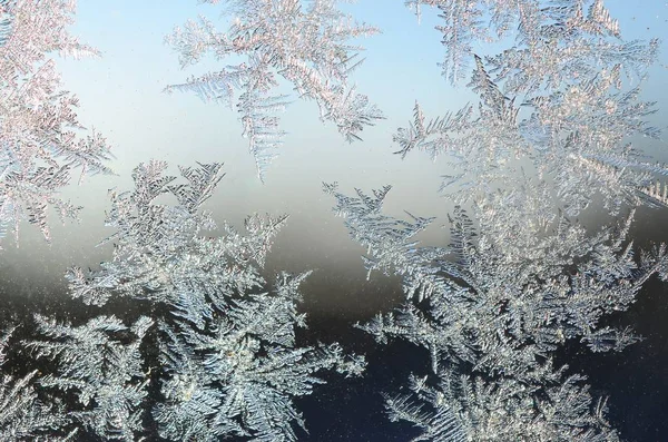 Copos de nieve escarcha rime macro en el cristal de la ventana — Foto de Stock