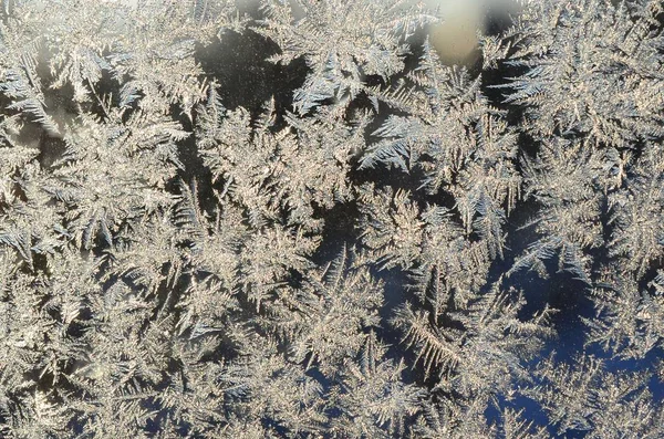 Schneeflocken Frostrime Makro auf Fensterscheibe — Stockfoto