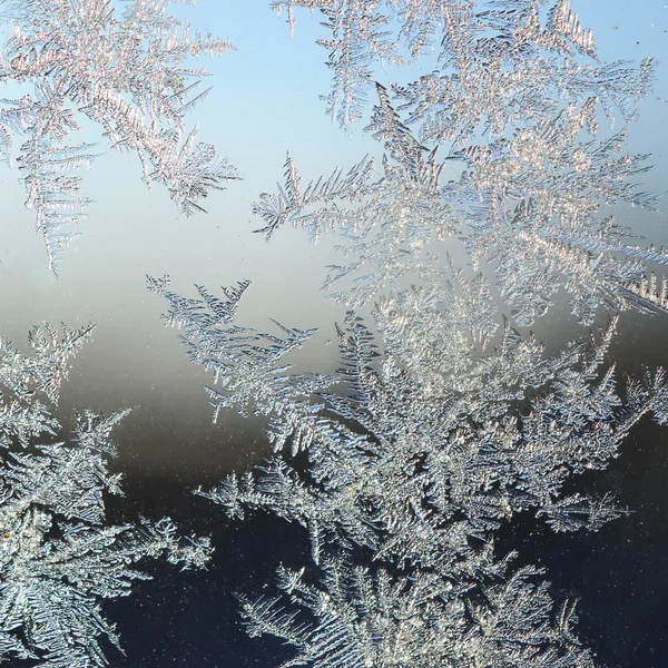 Flocos de neve geada rime macro no painel de vidro da janela — Fotografia de Stock