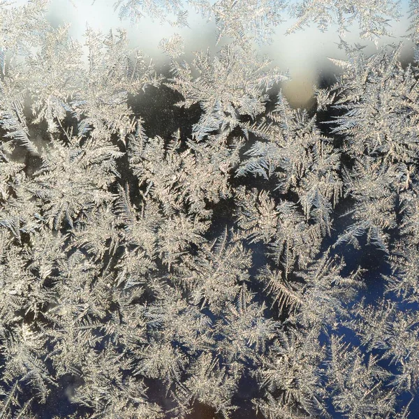 Hópelyhek fagy Rime Makró ablak üveg ablaktábla — Stock Fotó